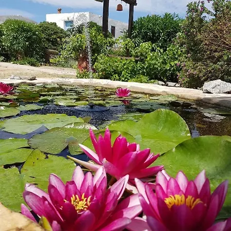 το κατἑ Aparthotel Artemonas