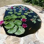 το κατἑ Lejlighedshotel 3*
