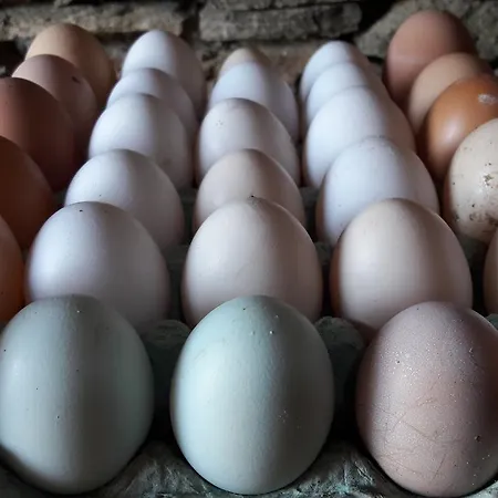 Lägenhetshotell το κατἑ 3*