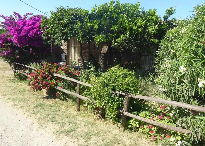 το κατἑ 3* Artemonas