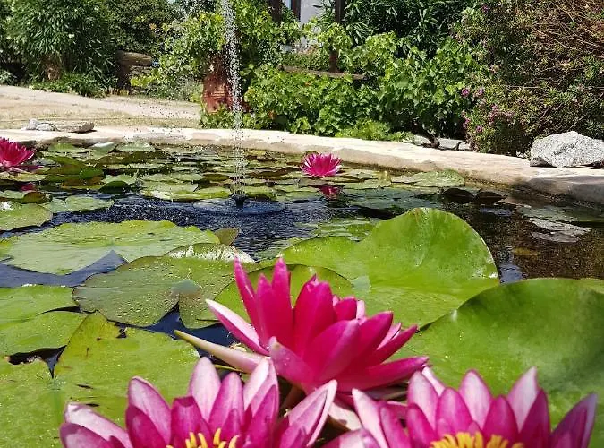 το κατἑ Lägenhetshotell Artemonas