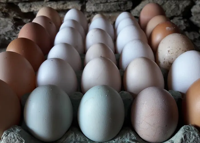 Lägenhetshotell το κατἑ 3*