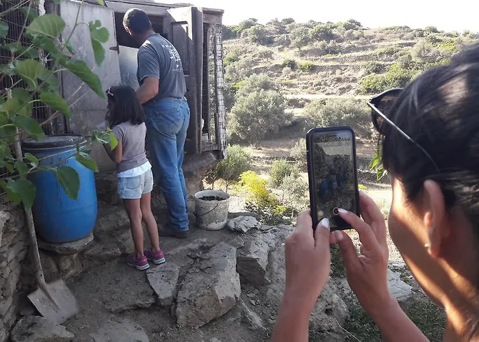 το κατἑ 3* Artemonas